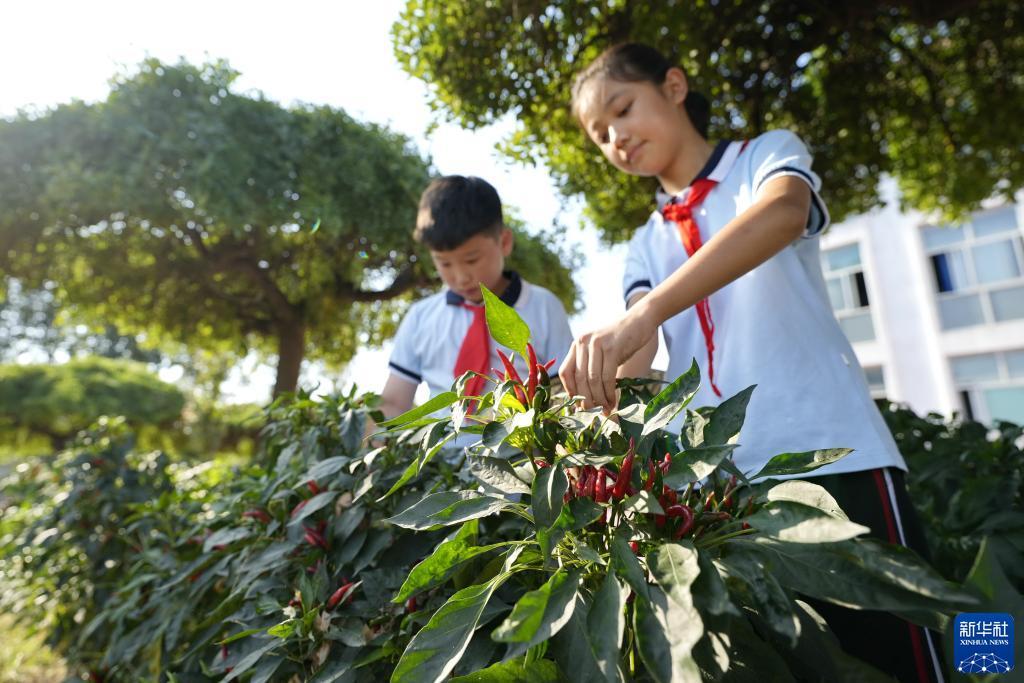永利总站官网